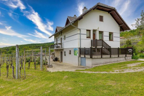 Vineyard Homestead Vrtin - Happy Rentals